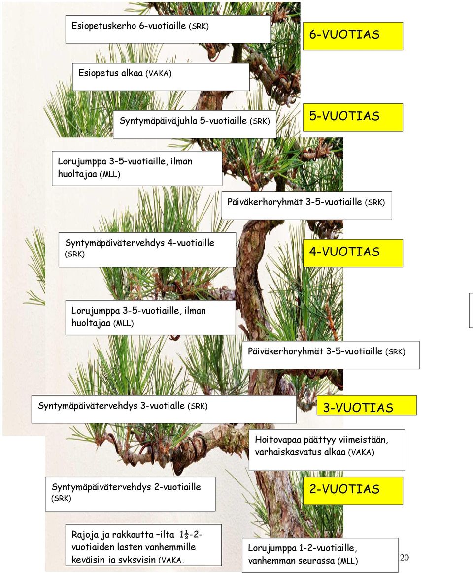 3-5-vuotiaille (SRK) Syntymäpäivätervehdys 3-vuotialle (SRK) 3-VUOTIAS Hoitovapaa päättyy viimeistään, varhaiskasvatus alkaa (VAKA) Syntymäpäivätervehdys