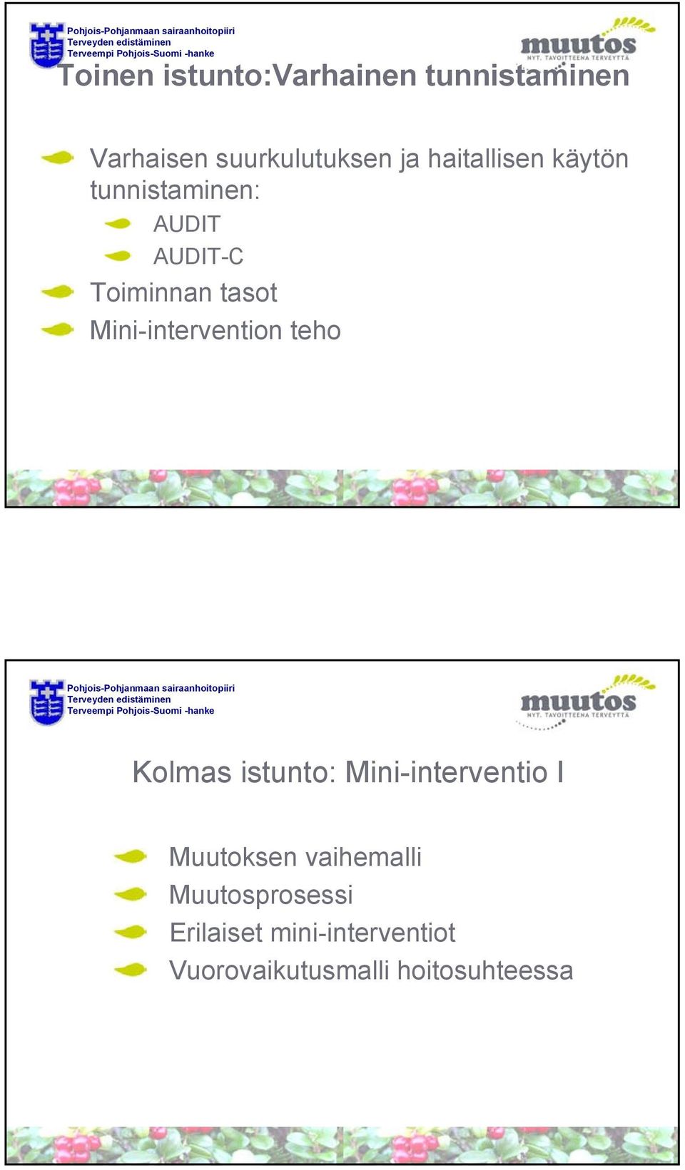 Mini-intervention teho Kolmas istunto: Mini-interventio I Muutoksen