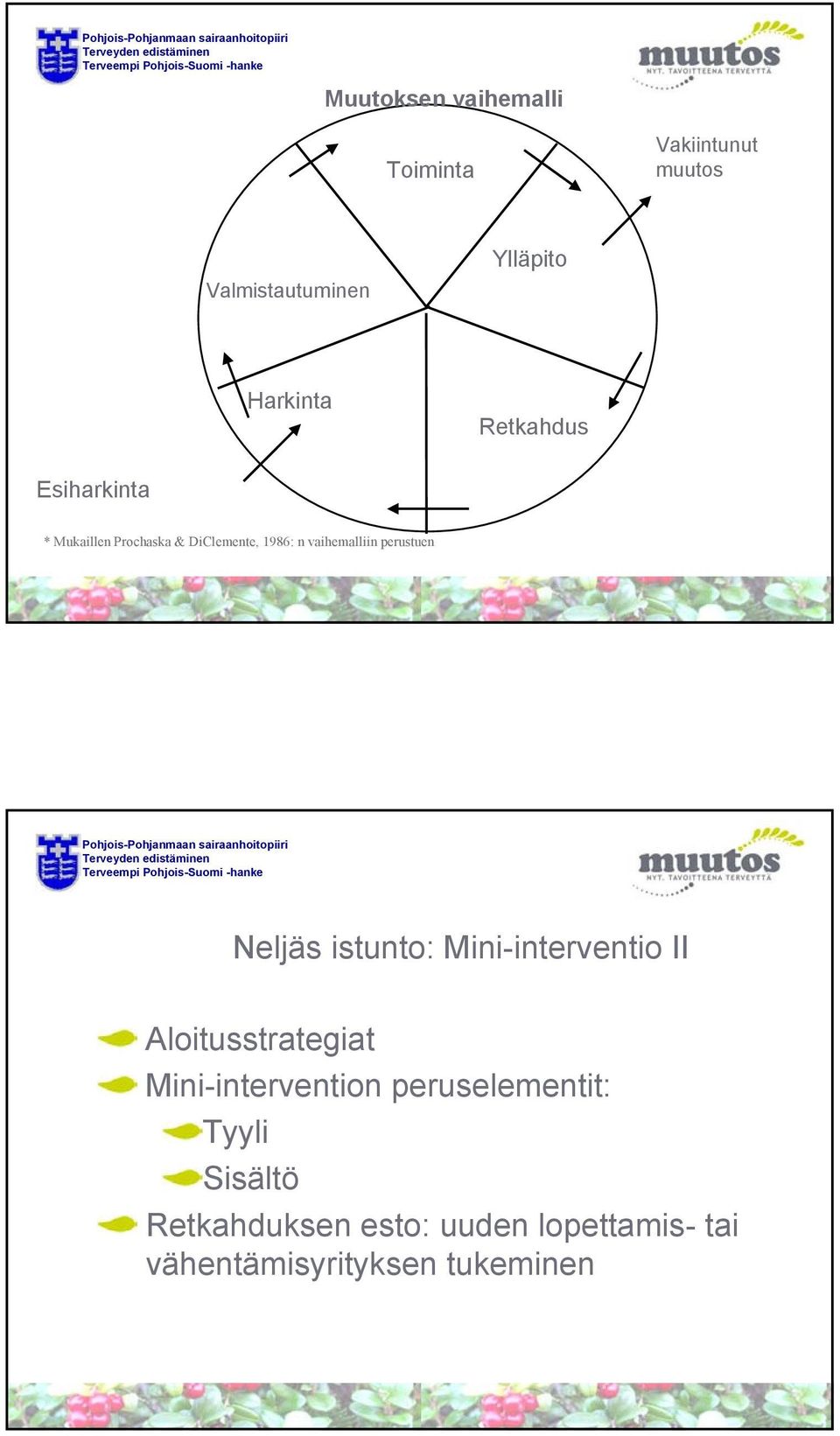 perustuen Neljäs istunto: Mini-interventio II Aloitusstrategiat Mini-intervention