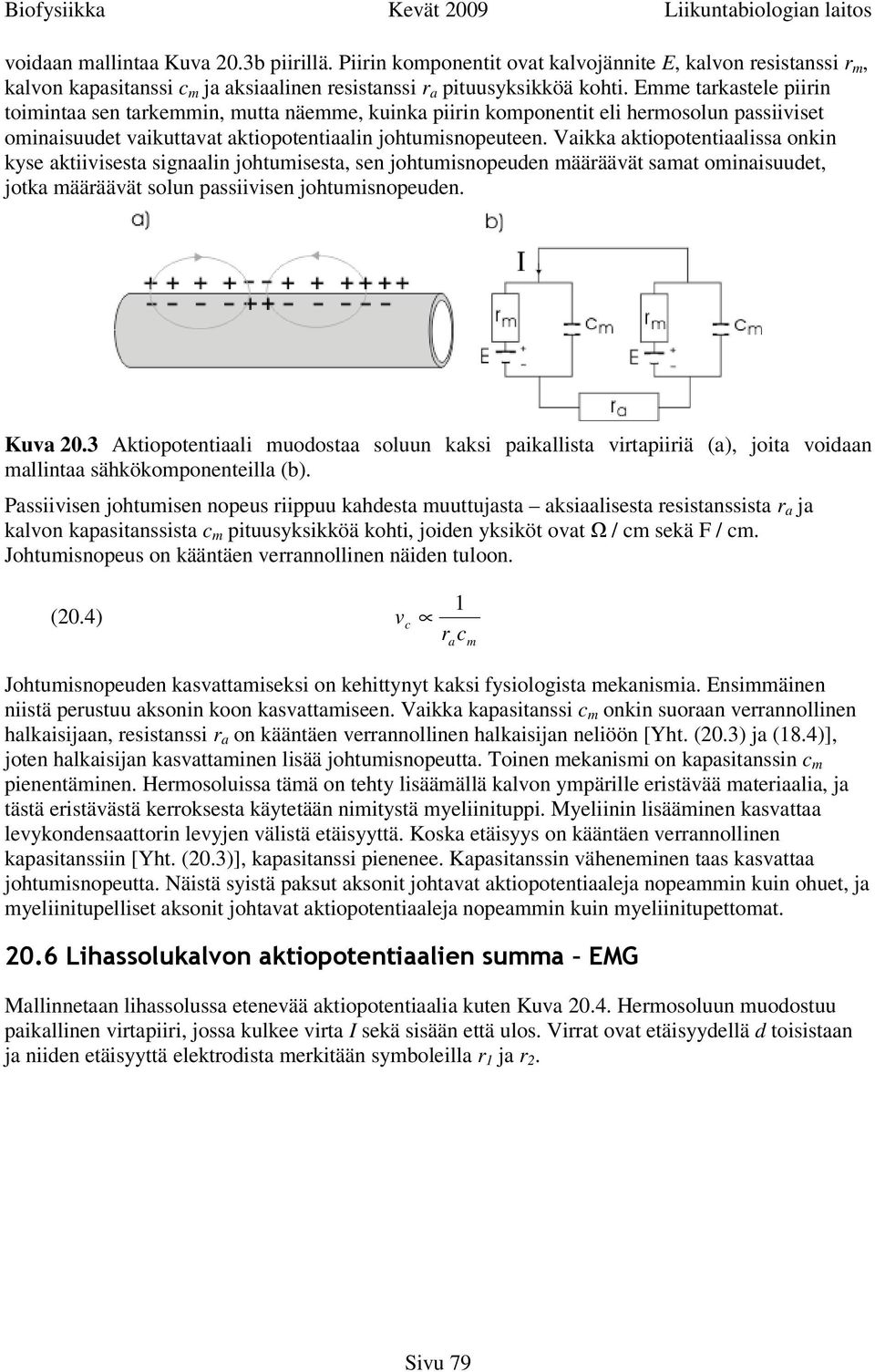 Vaikka aktiopotentiaalissa onkin kyse aktiivisesta signaalin johtumisesta, sen johtumisnopeuden määräävät samat ominaisuudet, jotka määräävät solun passiivisen johtumisnopeuden. Kuva 20.