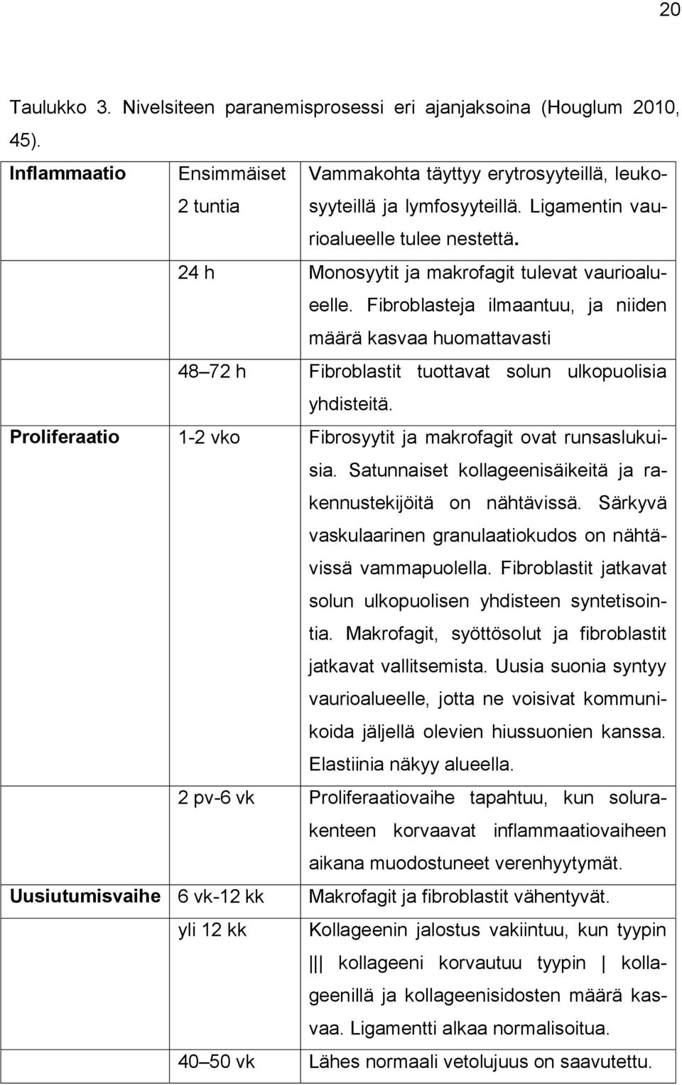 Fibroblasteja ilmaantuu, ja niiden määrä kasvaa huomattavasti 48 72 h Fibroblastit tuottavat solun ulkopuolisia yhdisteitä. Proliferaatio 1-2 vko Fibrosyytit ja makrofagit ovat runsaslukuisia.