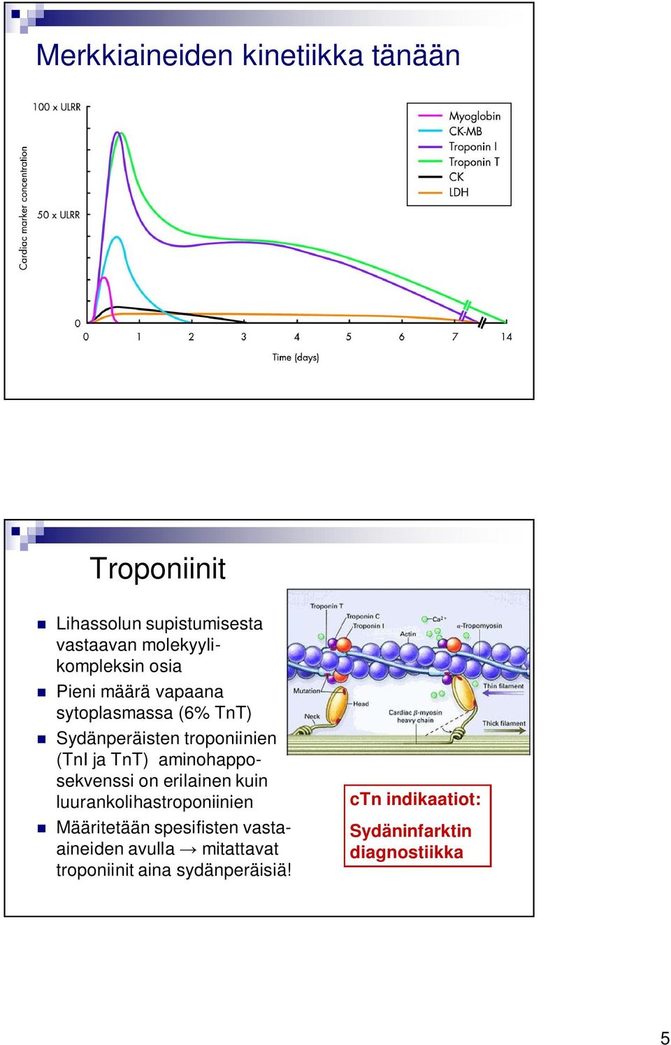(TnI ja TnT) aminohapposekvenssi on erilainen kuin luurankolihastroponiinien Määritetään