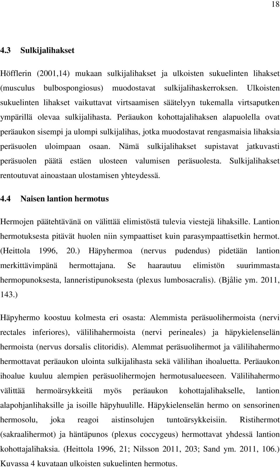 Peräaukon kohottajalihaksen alapuolella ovat peräaukon sisempi ja ulompi sulkijalihas, jotka muodostavat rengasmaisia lihaksia peräsuolen uloimpaan osaan.