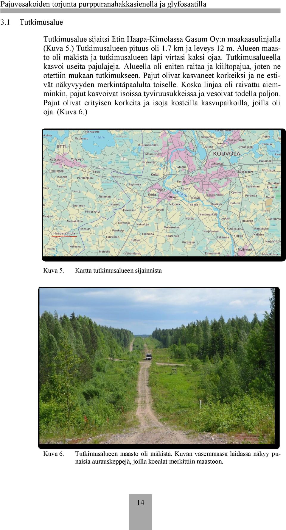 Pajut olivat kasvaneet korkeiksi ja ne estivät näkyvyyden merkintäpaalulta toiselle. Koska linjaa oli raivattu aiemminkin, pajut kasvoivat isoissa tyviruusukkeissa ja vesoivat todella paljon.