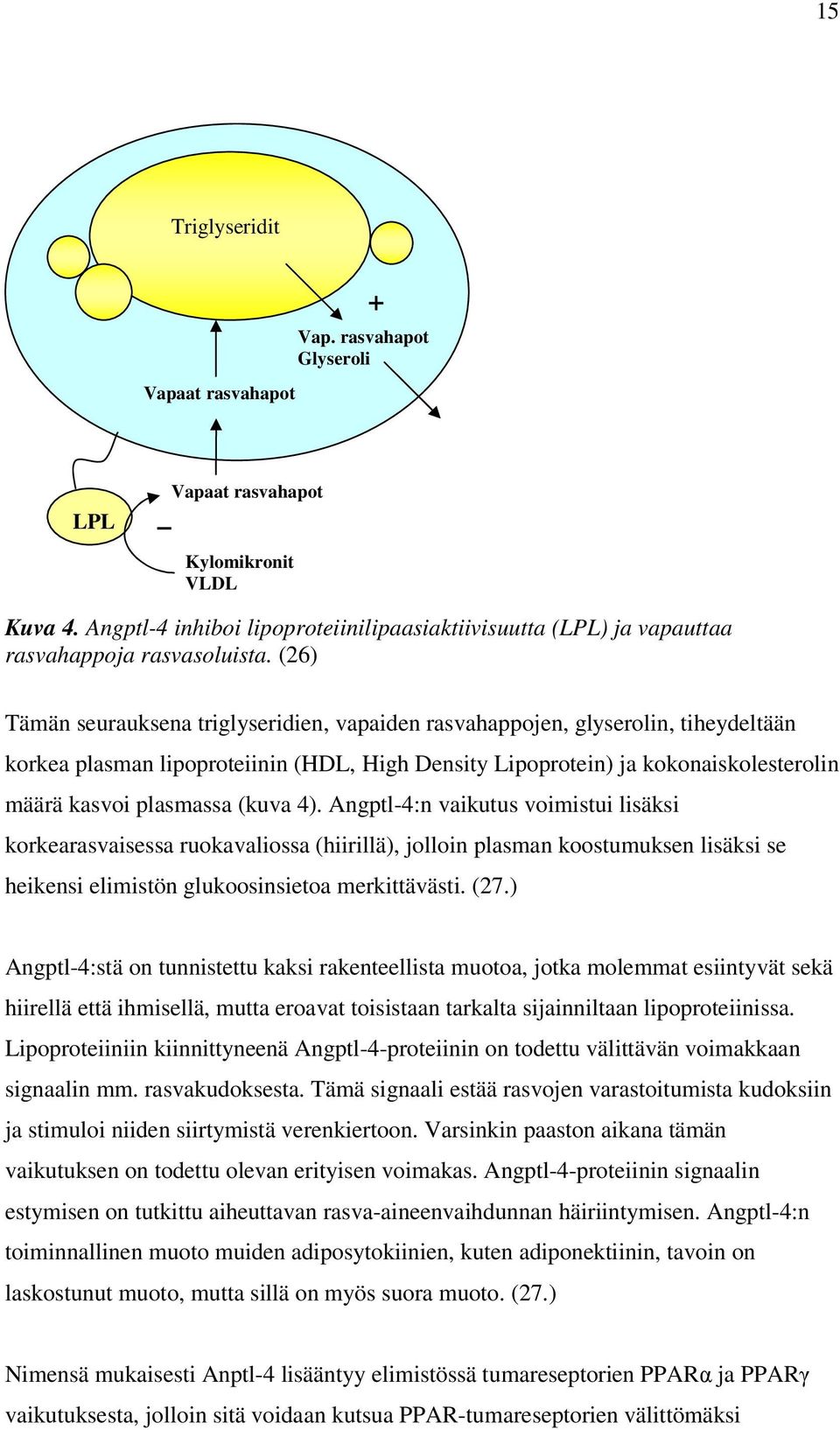 (26) Tämän seurauksena triglyseridien, vapaiden rasvahappojen, glyserolin, tiheydeltään korkea plasman lipoproteiinin (HDL, High Density Lipoprotein) ja kokonaiskolesterolin määrä kasvoi plasmassa