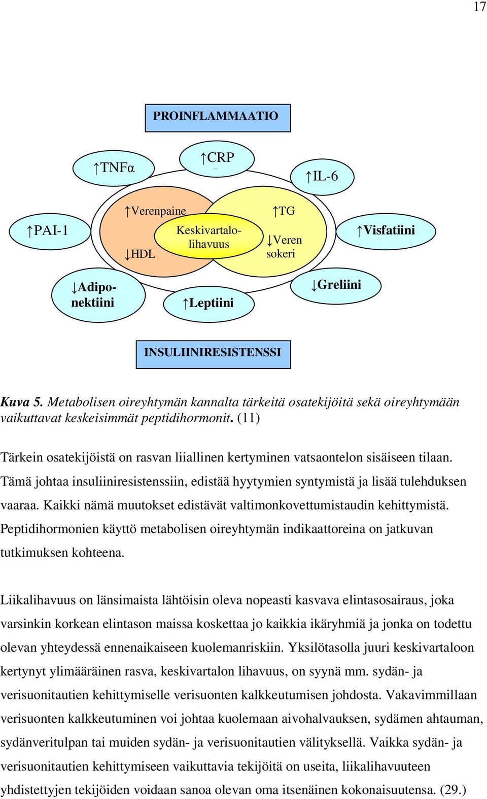 (11) Tärkein osatekijöistä on rasvan liiallinen kertyminen vatsaontelon sisäiseen tilaan. Tämä johtaa insuliiniresistenssiin, edistää hyytymien syntymistä ja lisää tulehduksen vaaraa.