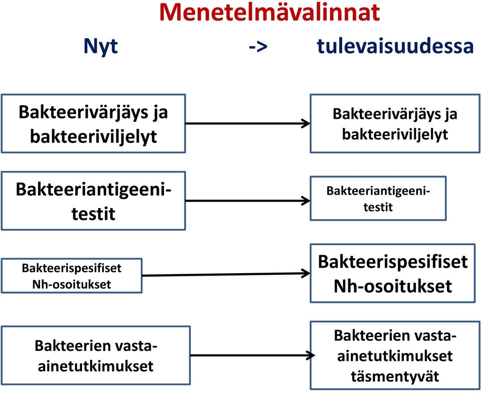 Bakteerivärjäys ja  Bakteerien vastaainetutkimukset Bakteerien