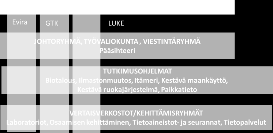2/10 LYNETille rakennettiin uudet nettisivut, jotka avataan 2016 alkupuolella. Myös viestintäryhmä uudisti kokoonpanonsa ja suunnitteli jatkossa toteutettavia viestintätoimia. 1.