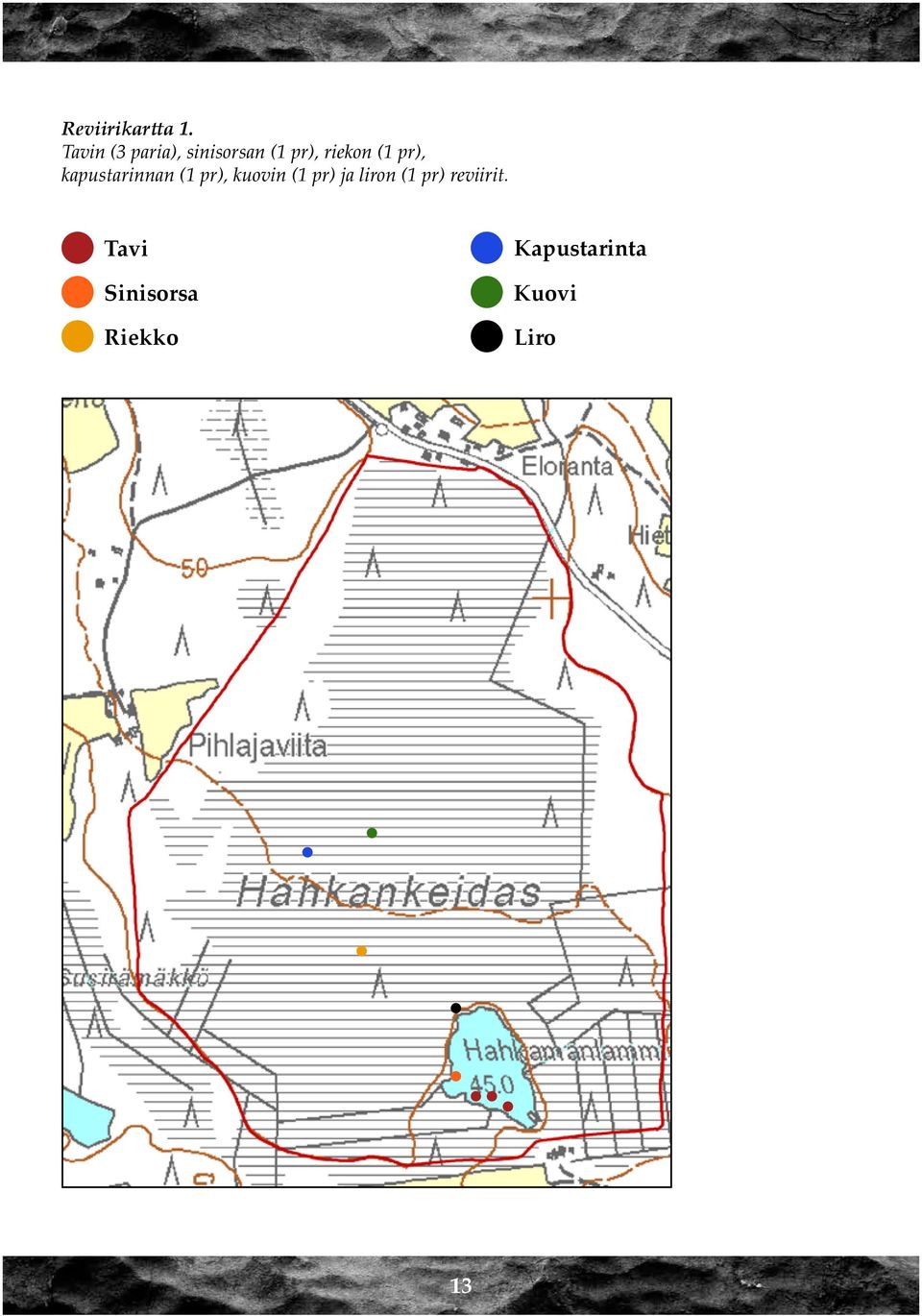 (1 pr), kapustarinnan (1 pr), kuovin (1 pr)