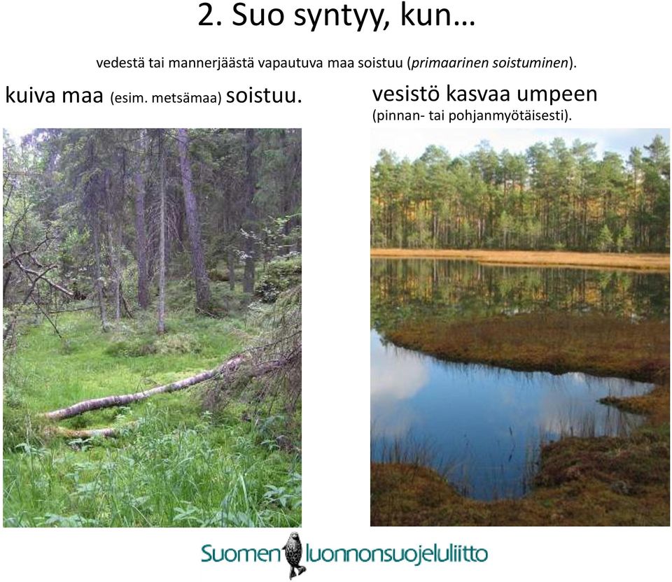 soistuminen). kuiva maa (esim.