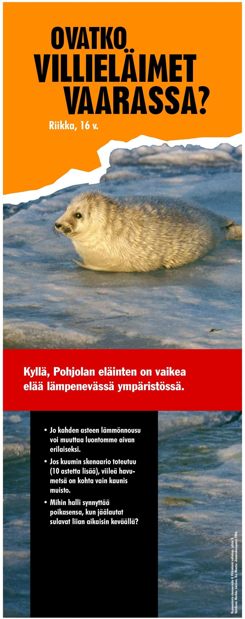 Jos kuumin skenaario toteutuu (10 astetta lisää), viileä havumetsä on kohta vain kaunis muisto.