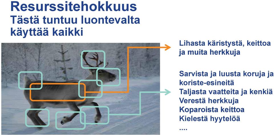 luusta koruja ja koriste-esineitä Taljasta vaatteita ja