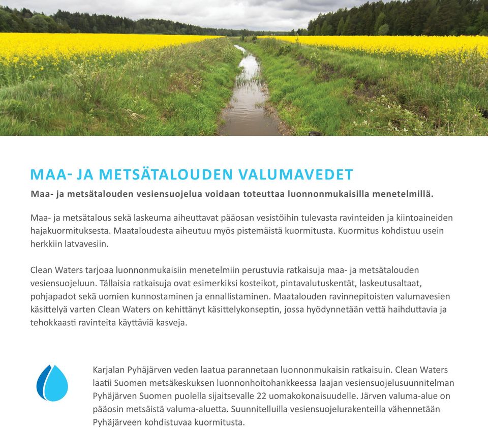 Kuormitus kohdistuu usein herkkiin latvavesiin. Clean Waters tarjoaa luonnonmukaisiin menetelmiin perustuvia ratkaisuja maa- ja metsätalouden vesiensuojeluun.