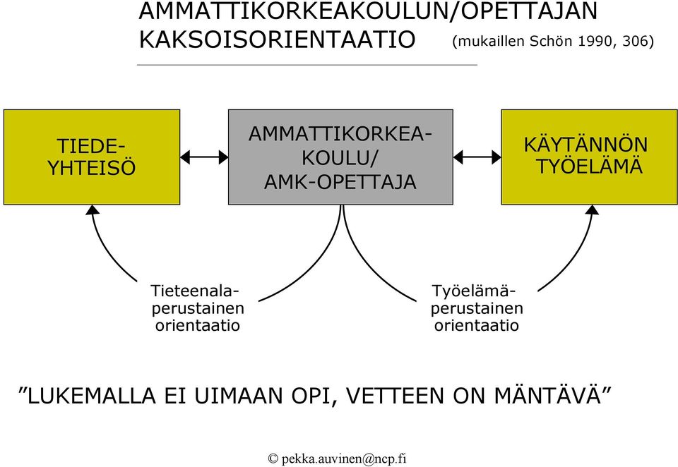 AMK-OPETTAJA KÄYTÄNNÖN TYÖELÄMÄ Tieteenalaperustainen