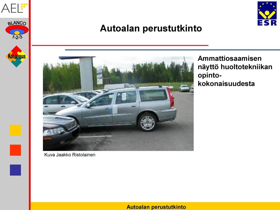 Ammattiosaamisen