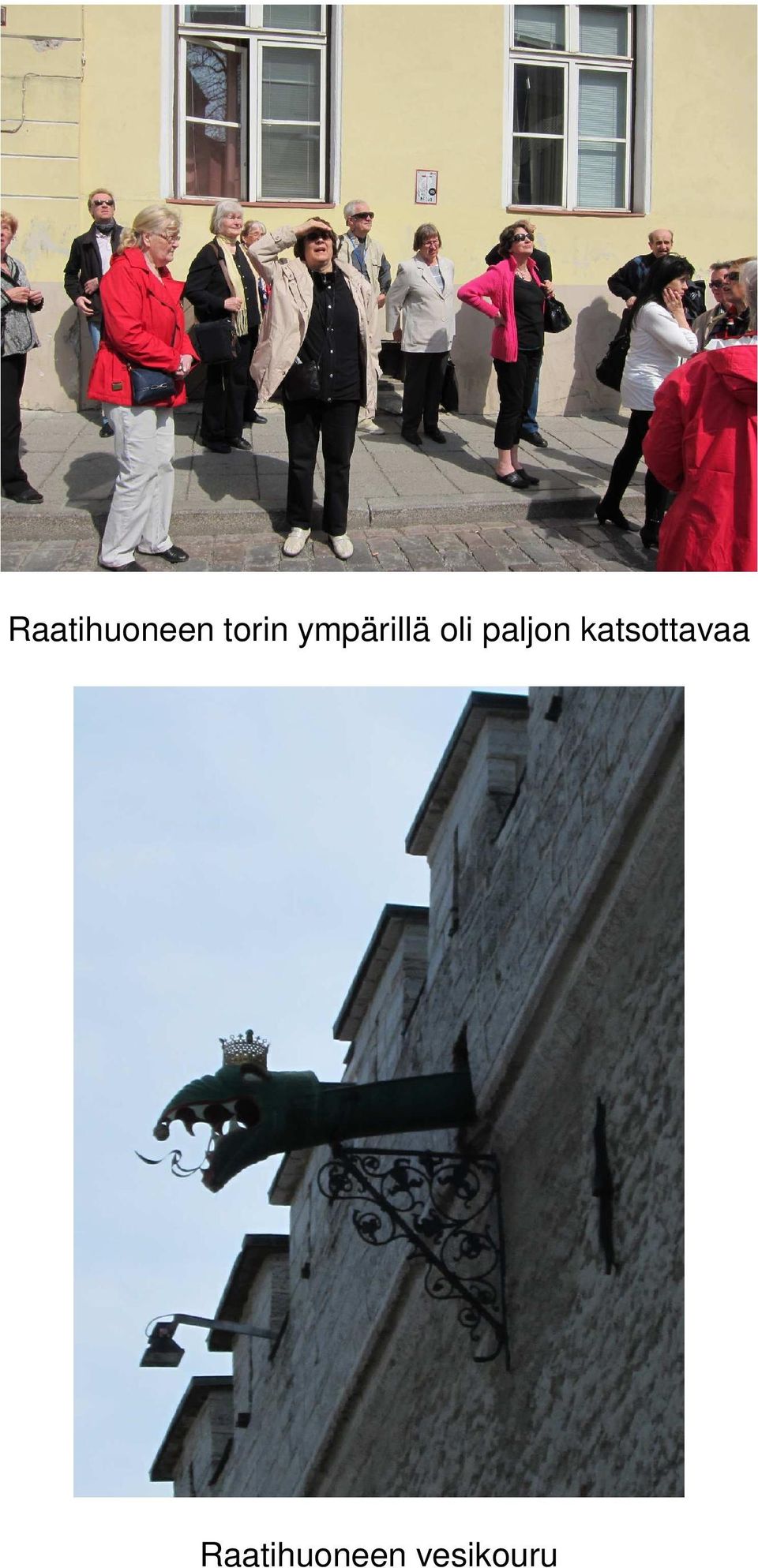 paljon katsottavaa