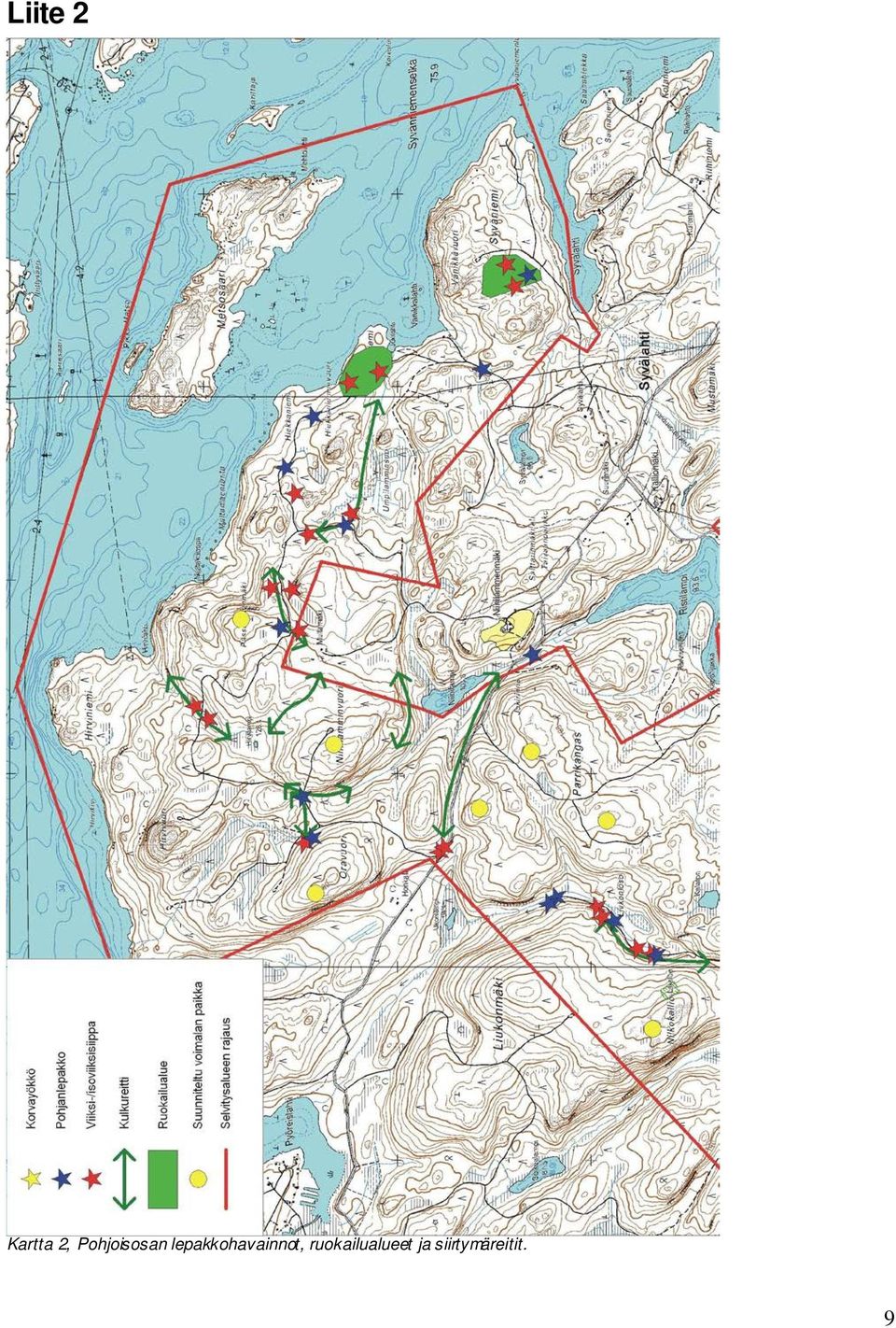 lepakkohavainnot,