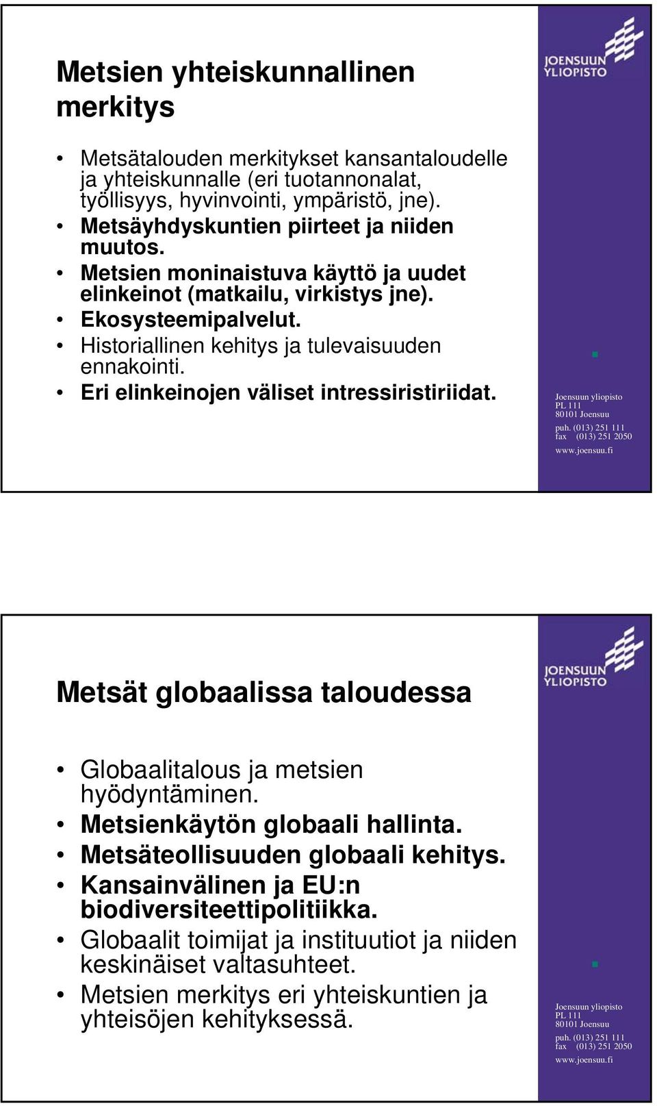Historiallinen kehitys ja tulevaisuuden ennakointi. Eri elinkeinojen väliset intressiristiriidat. Metsät globaalissa taloudessa Globaalitalous ja metsien hyödyntäminen.