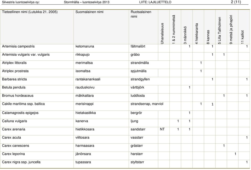 vulgaris rikkapujo gråbo 1 1 Atriplex littoralis merimaltsa strandmålla 1 Atriplex prostrata isomaltsa spjutmålla 1 Barbarea stricta rantakanankaali strandgyllen 1 1 Betula pendula rauduskoivu