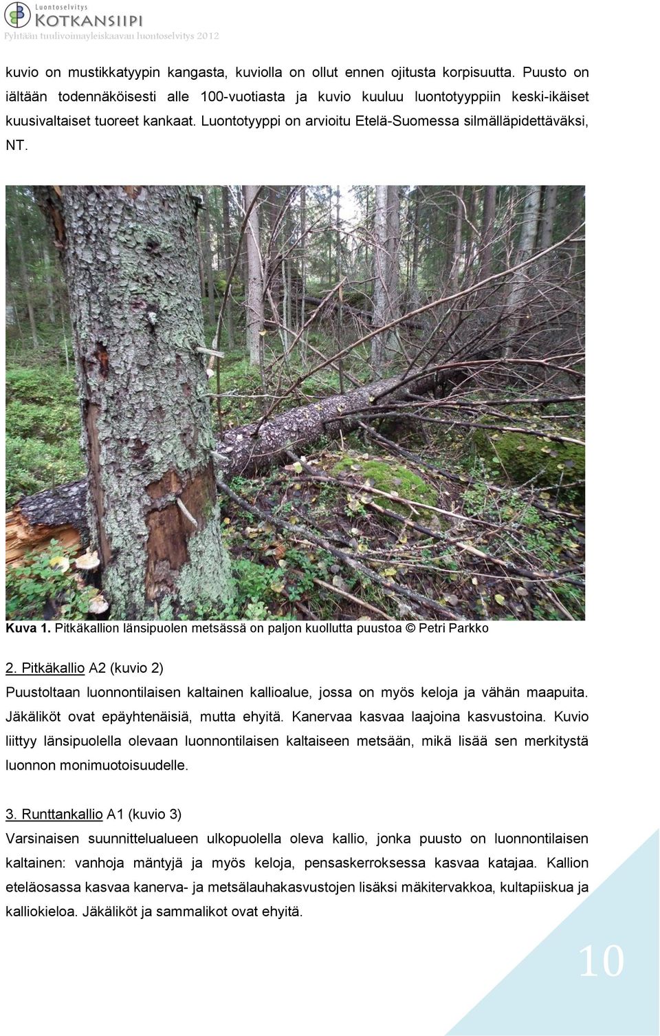 Kuva 1. Pitkäkallion länsipuolen metsässä on paljon kuollutta puustoa Petri Parkko 2. Pitkäkallio A2 (kuvio 2) Puustoltaan luonnontilaisen kaltainen kallioalue, jossa on myös keloja ja vähän maapuita.