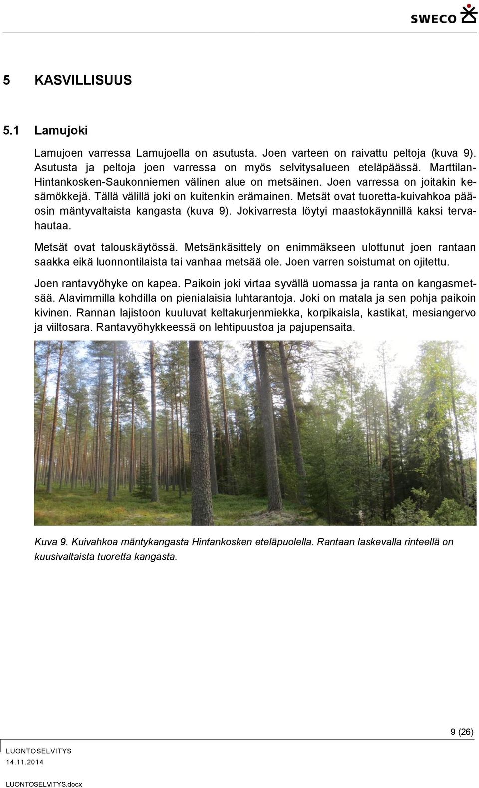 Metsät ovat tuoretta-kuivahkoa pääosin mäntyvaltaista kangasta (kuva 9). Jokivarresta löytyi maastokäynnillä kaksi tervahautaa. Metsät ovat talouskäytössä.