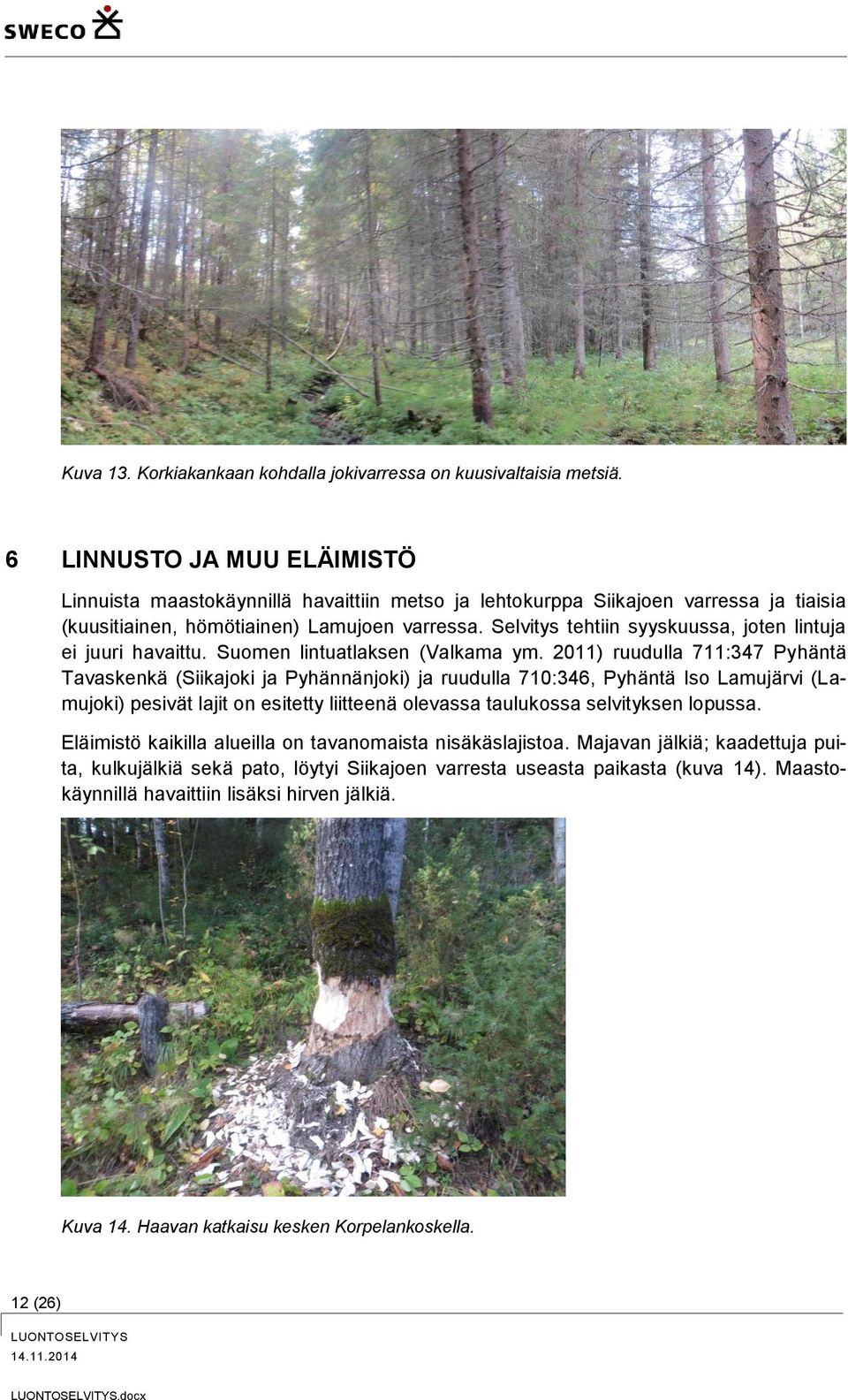 Selvitys tehtiin syyskuussa, joten lintuja ei juuri havaittu. Suomen lintuatlaksen (Valkama ym.
