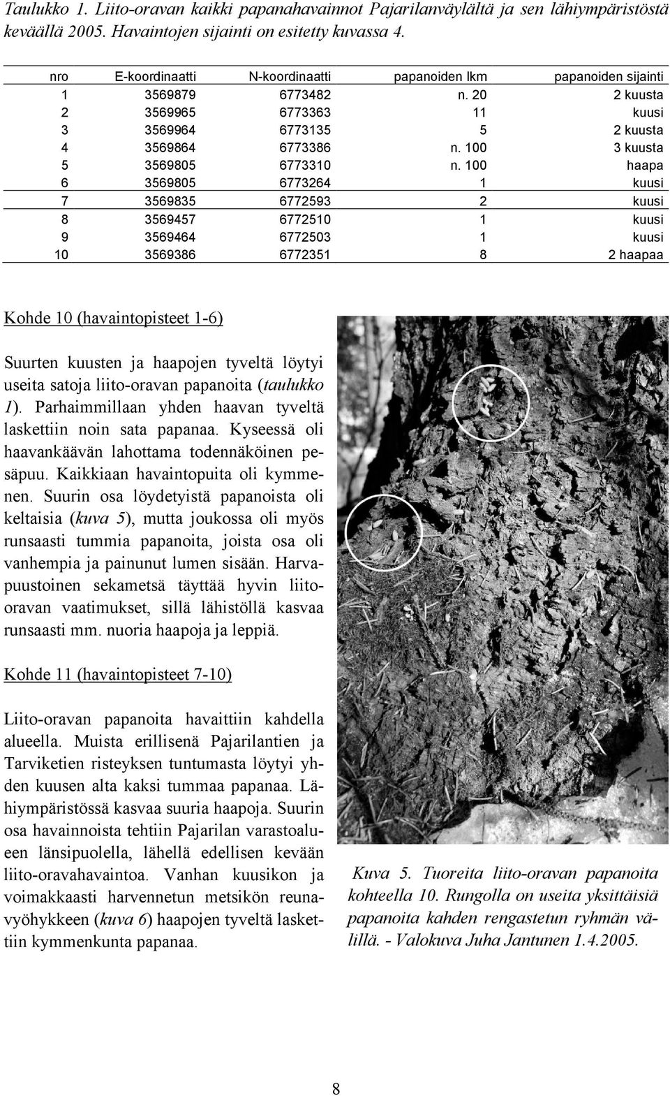 6772503 6772351 papanoiden lkm n. 20 11 5 n. 100 n.