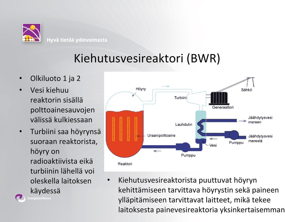 voi oleskella laitoksen käydessä Kiehutusvesireaktorista puuttuvat höyryn kehittämiseen tarvittava