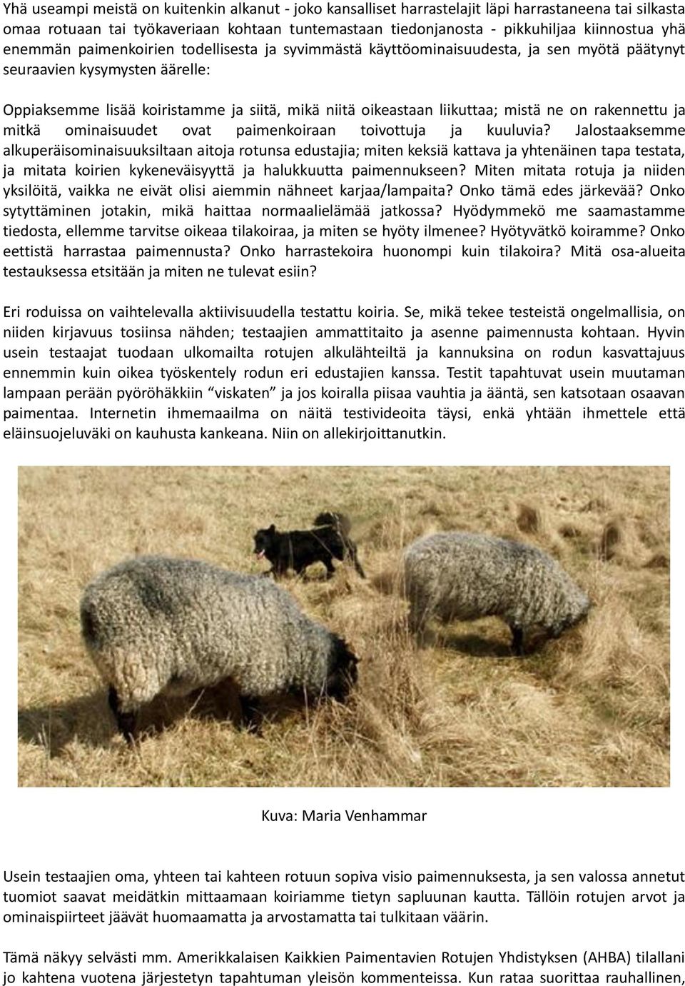 mistä ne on rakennettu ja mitkä ominaisuudet ovat paimenkoiraan toivottuja ja kuuluvia?