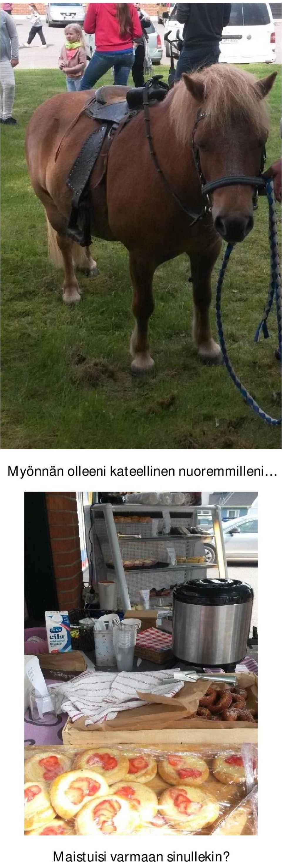 nuoremmilleni