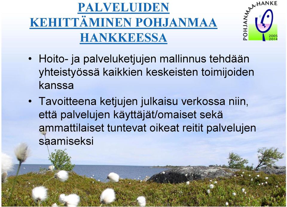 julkaisu verkossa niin, että palvelujen käyttäjät/omaiset