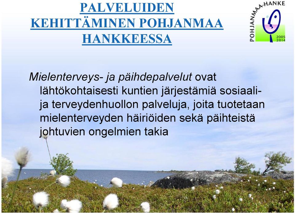 terveydenhuollon palveluja, joita tuotetaan