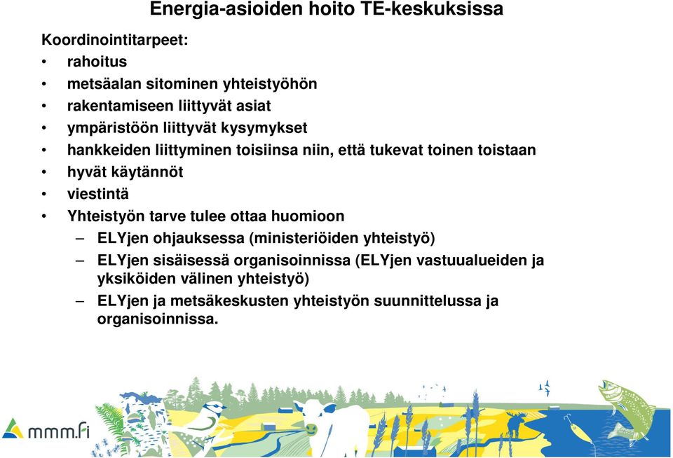 viestintä Yhteistyön tarve tulee ottaa huomioon ELYjen ohjauksessa (ministeriöiden yhteistyö) ELYjen sisäisessä