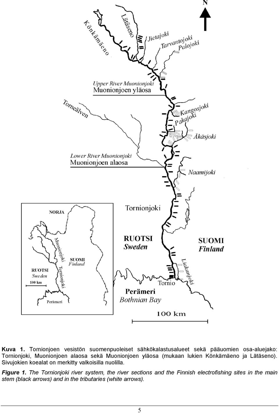 Muonionjoen alaosa sekä Muonionjoen yläosa (mukaan lukien Könkämäeno ja Lätäseno).