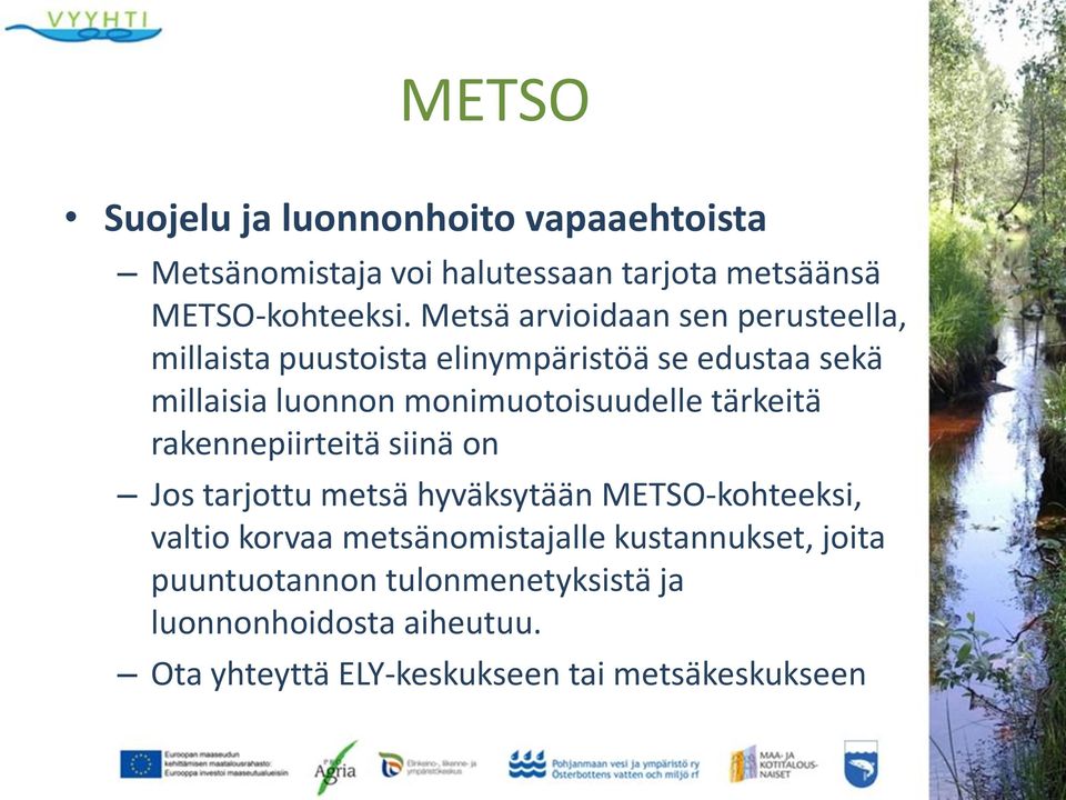 monimuotoisuudelle tärkeitä rakennepiirteitä siinä on Jos tarjottu metsä hyväksytään METSO-kohteeksi, valtio korvaa