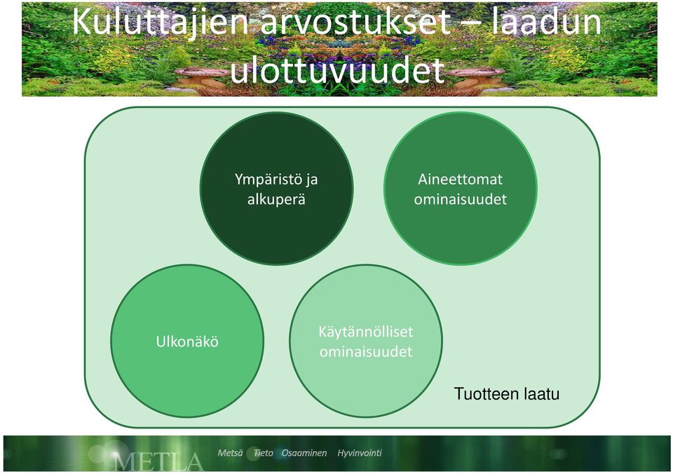 Aineettomat ominaisuudet Ulkonäkö