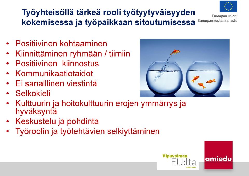 Kommunikaatiotaidot Ei sanalllinen viestintä Selkokieli Kulttuurin ja hoitokulttuurin