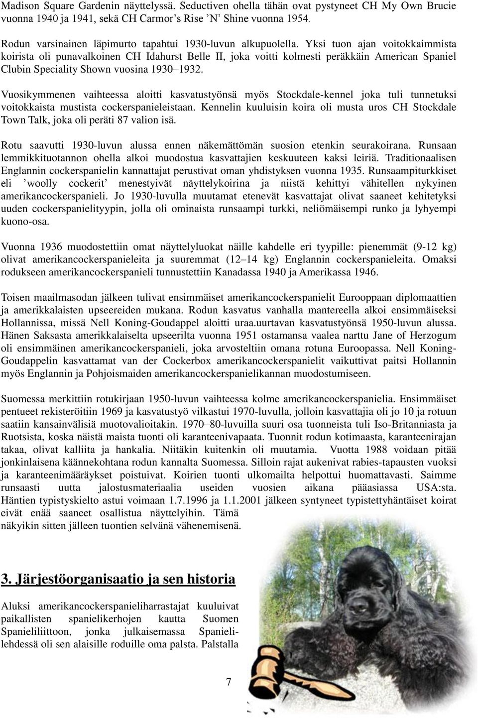 Yksi tuon ajan voitokkaimmista koirista oli punavalkoinen CH Idahurst Belle II, joka voitti kolmesti peräkkäin American Spaniel Clubin Speciality Shown vuosina 1930 1932.