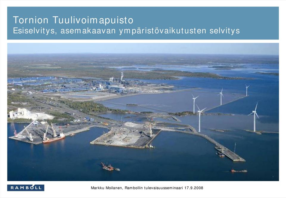 Esiselvitys,