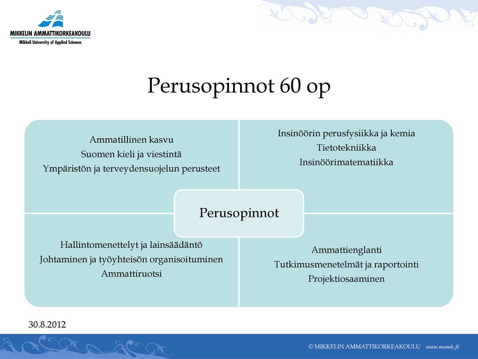 Insinöörimatematiikka Perusopinnot Hallintomenettelyt ja lainsäädäntö Johtaminen ja