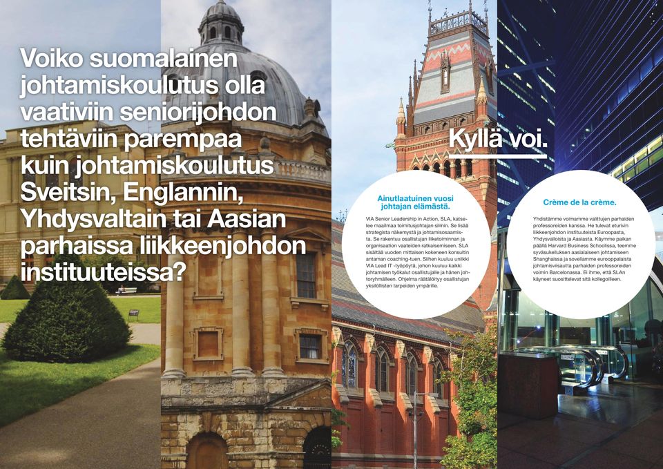 Se rakentuu osallistujan liiketoiminnan ja organisaation vaateiden ratkaisemiseen. SLA sisältää vuoden mittaisen kokeneen konsultin antaman coaching-tuen.