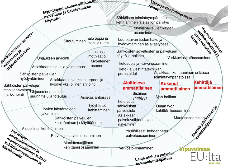 Työyhteisön kehittäminen Sähköisten palvelujen kehittäminen ja käyttöönotto Palvelujen arviointiosaaminen Moniammatillinen kehittämisosaaminen Sähköisen toimintaympäristön kehittäminen ja sisällön