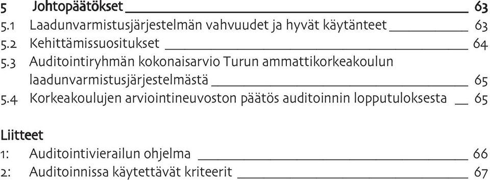 Auditointiryhmän kokonaisarvio Turun ammattikorkeakoulun
