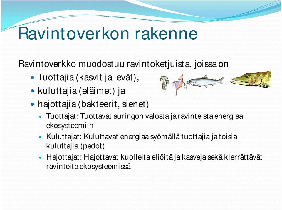 ravinteista energiaa ekosysteemiin Kuluttajat: Kuluttavat energiaa syömällä tuottajia ja toisia