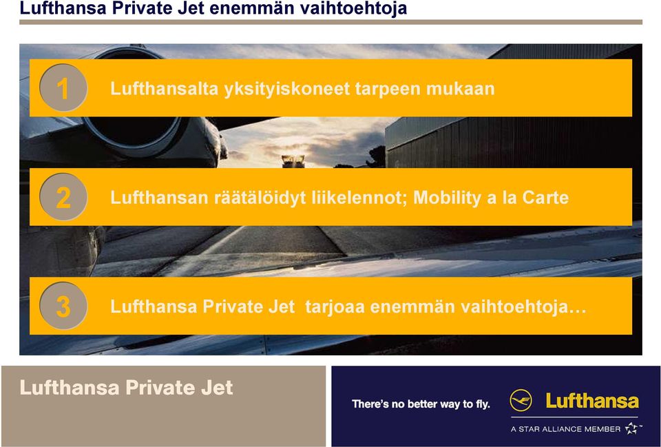 Lufthansan räätälöidyt liikelennot;