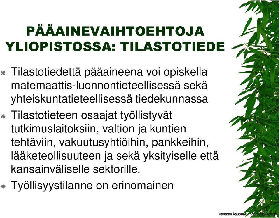 osaajat työllistyvät tutkimuslaitoksiin, valtion ja kuntien tehtäviin, vakuutusyhtiöihin,