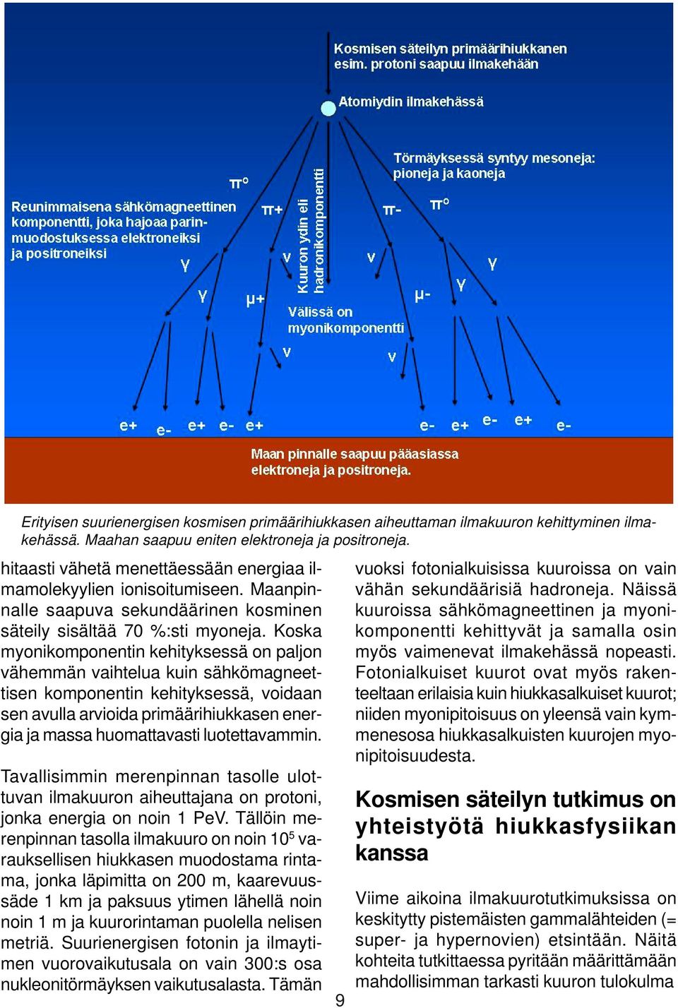 Koska myonikomponentin kehityksessä on paljon vähemmän vaihtelua kuin sähkömagneettisen komponentin kehityksessä, voidaan sen avulla arvioida primäärihiukkasen energia ja massa huomattavasti