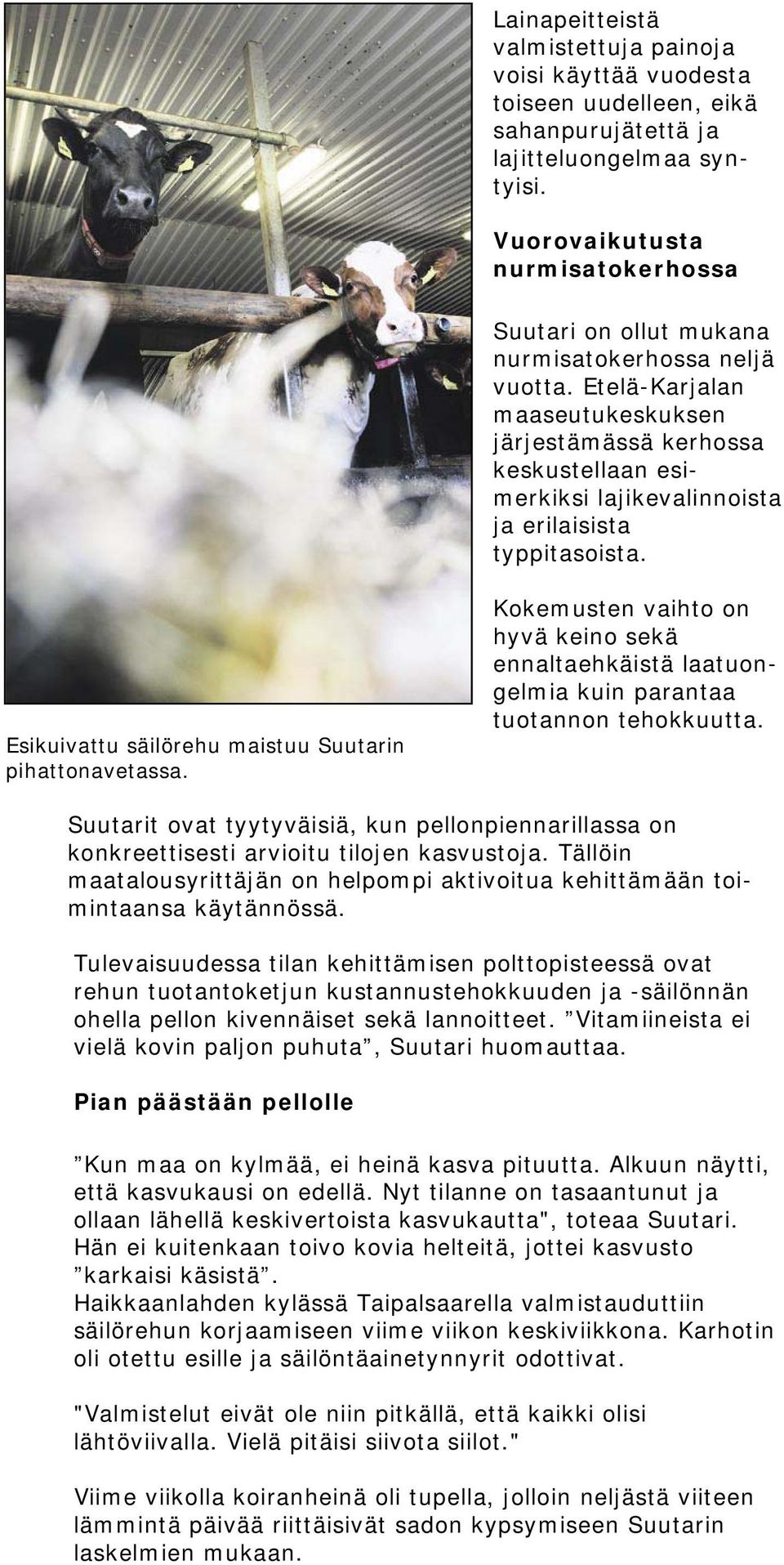 Etelä-Karjalan maaseutukeskuksen järjestämässä kerhossa keskustellaan esimerkiksi lajikevalinnoista ja erilaisista typpitasoista. Esikuivattu säilörehu maistuu Suutarin pihattonavetassa.