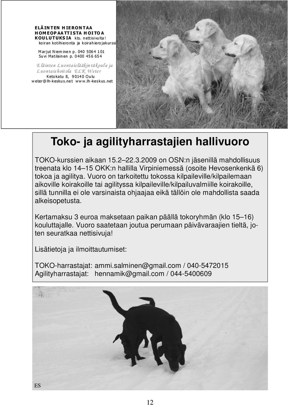 lh -k es k us.net Toko- ja agilityharrastajien hallivuoro TOKO-kurssien aikaan 15.2 22.3.