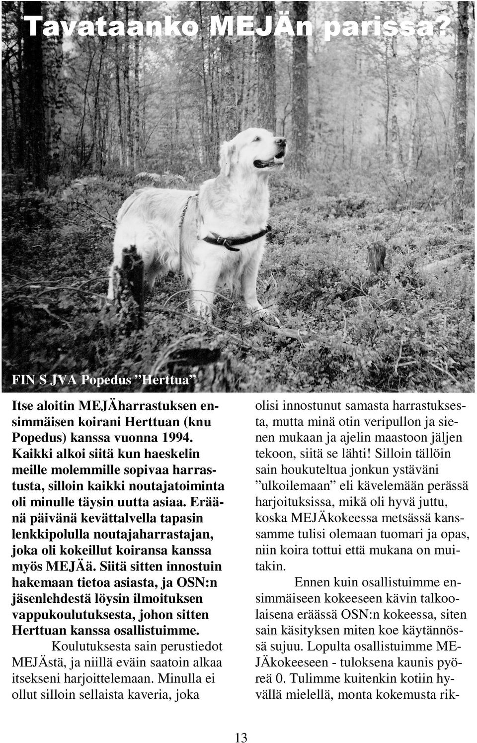 koira tottui että mukana on muitakin. Ennen kuin osallistuimme ensimmäiseen kokeeseen kävin talkoolaisena eräässä OSN:n kokeessa, siten sain käsityksen miten koe käytännössä sujuu.